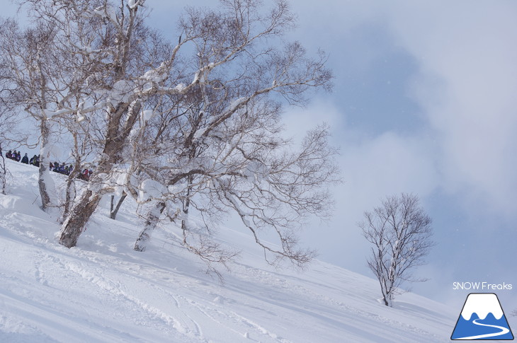 パウダーの祭典☆ICI石井スポーツ『b.c.map POWDER FREE RIDE KIRORO OPEN 2018』レポート！@キロロスノーワールド